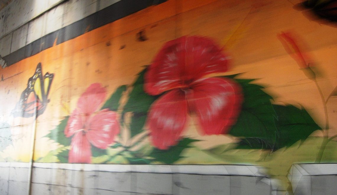 Art de rue en Guadeloupe : un phénomène en plein boom