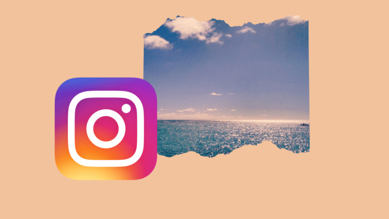 Néophyte sur Instagram