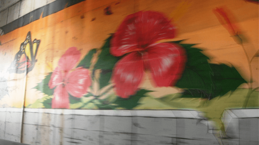 street art Guadeloupe