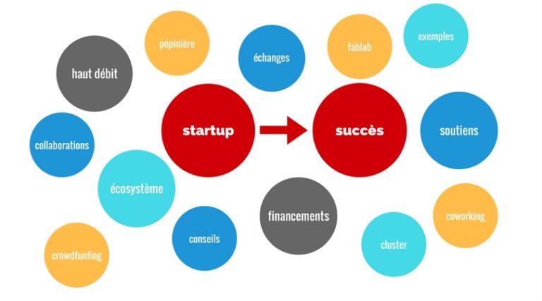 Caraibe : de l’art et la manière de faire rimer startup et succès (partie 2)