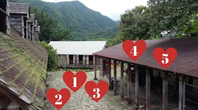 Visite à l’Habitation La Grivelière : mes 5 coups de coeur