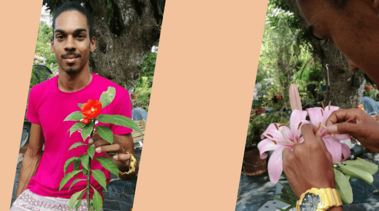 Lieu de rêve en Guadeloupe : la pépinière Nérée racontée par Sidney Henery-Sainsily