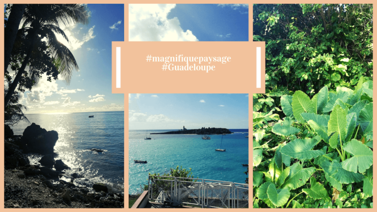 Lieu de rêve en Guadeloupe : le jardin de l’esplanade à Gosier