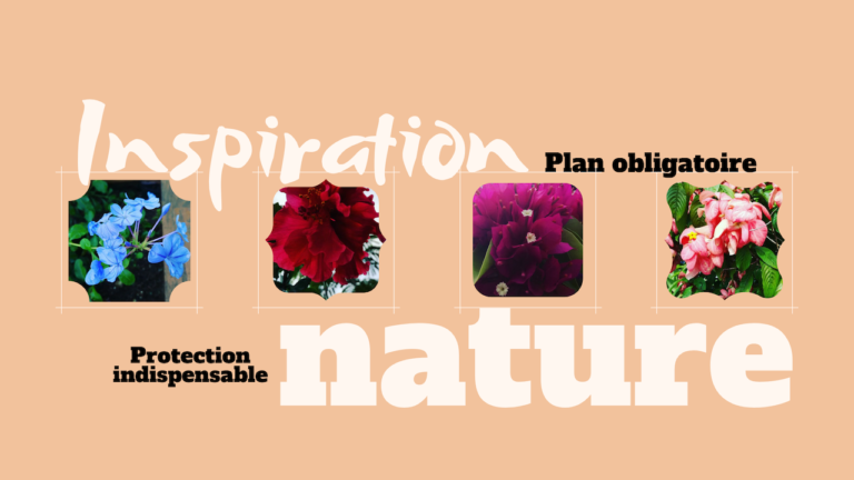 Caraibe : la nature, cette source d’inspiration à protéger