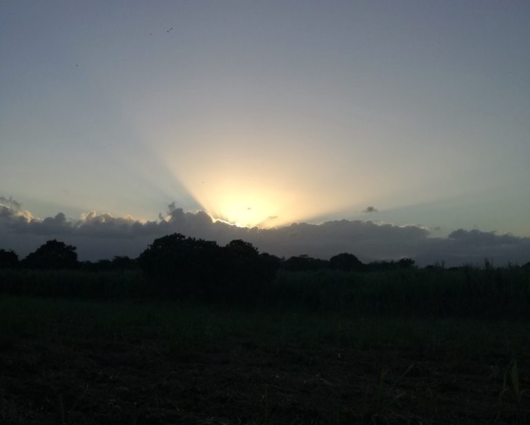 En Guadeloupe, admirer le ciel et trouver l’inspiration