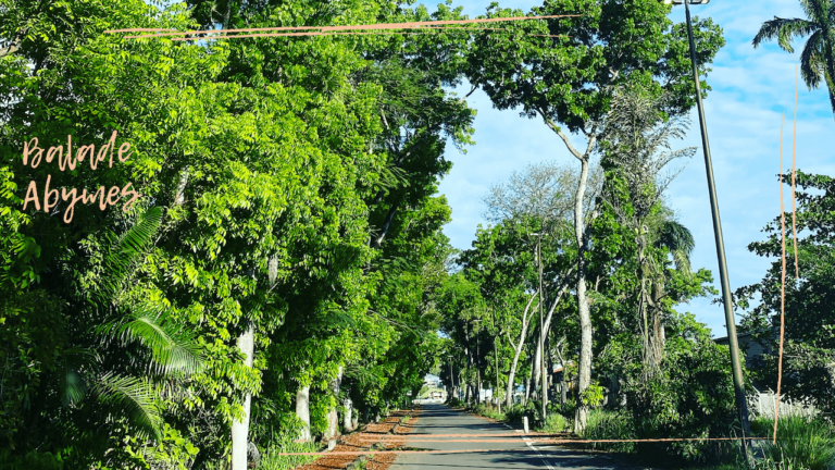 Guadeloupe : en balade aux Abymes