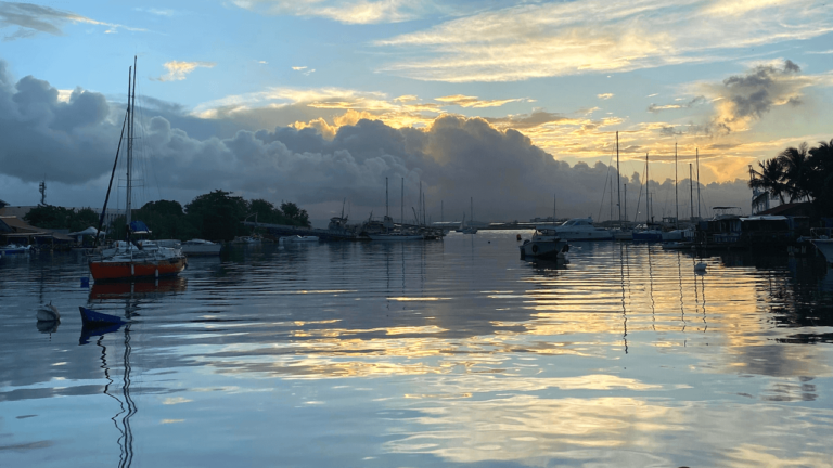 Sur le terrain en Guadeloupe : 3 posts très appréciés sur Twitter