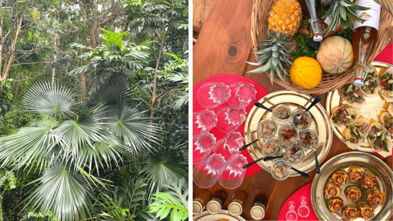 Lieu de rêve en Guadeloupe : une magnifique villa dans un écrin de nature