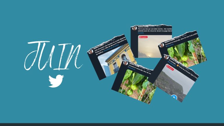 Sur Twitter, mes 5 partages les plus populaires en juin
