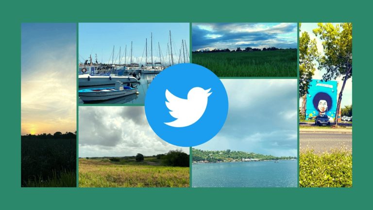 Nature en Guadeloupe : mes tweets les plus populaires en août