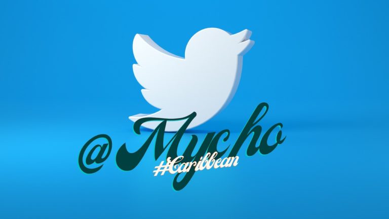 Récap’ Twitter : des chiffres exceptionnels pour 10 de mes tweets en février
