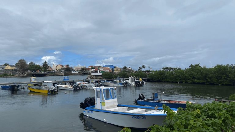 Lieu de rêve en Guadeloupe  : le joli port du Moule
