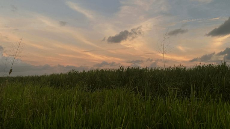 Guadeloupe : 10 paysages si magnifiques, si oniriques