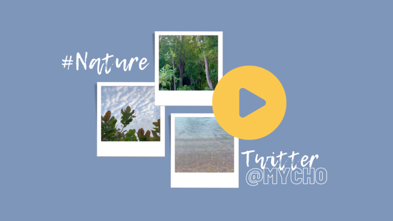 Guadeloupe : cette nature exceptionnelle en 3 vidéos postées sur Twitter