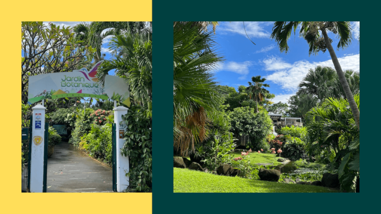 Lieu de rêve en Guadeloupe : le merveilleux Jardin Botanique de Deshaies
