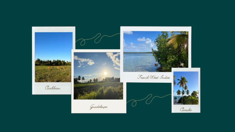 Guadeloupe : 10 paysages de rêve partagés sur Twitter