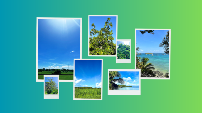 Guadeloupe : bleu + vert, ce duo toujours gagnant