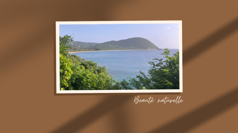 Lieu de rêve en Guadeloupe : le point de vue de Gadet à Deshaies