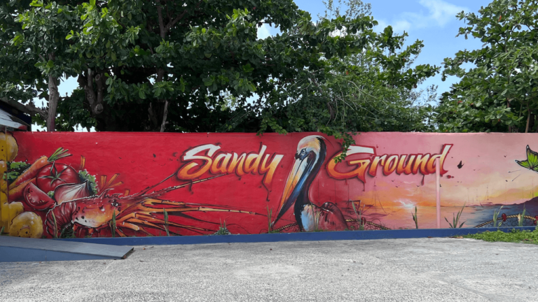 Street art à Saint-Martin : 7 oeuvres si colorées, si différentes