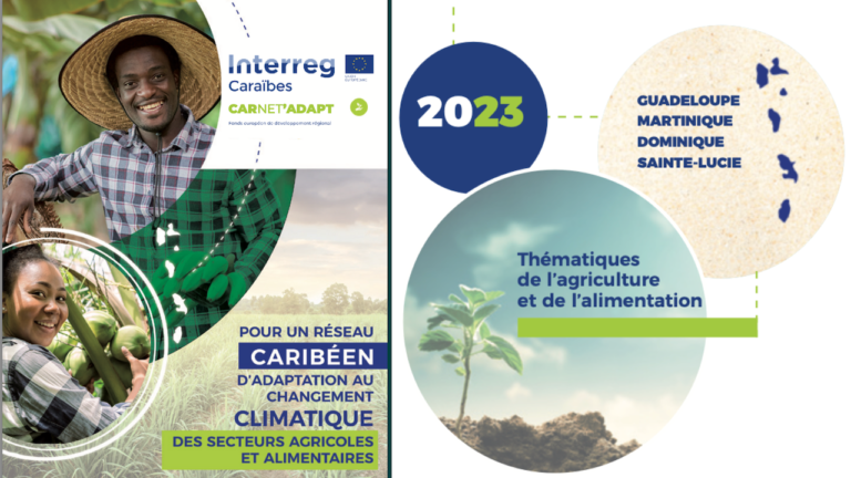 Grande Caraïbe : connaissez-vous CarNet’Adapt ?