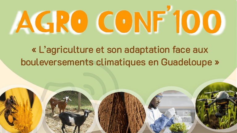 Guadeloupe : l’Agro Conf’100, un grand rendez-vous sur l’agriculture à venir