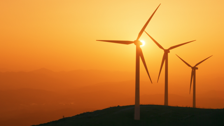 Grande Caraïbe : l’enjeu des énergies renouvelables en projets et défis clés