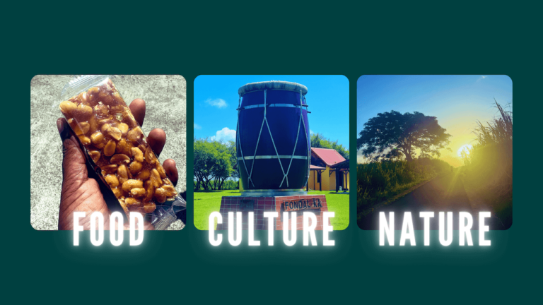 Food, culture et nature : mes vacances en 10 photos et vidéos