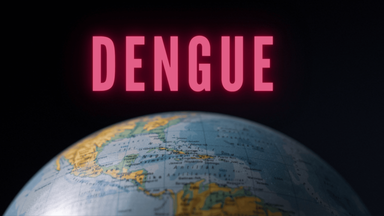 Dengue dans la Grande Caraïbe : une menace (quasi) invisible, un défi majeur, une lutte essentielle 
