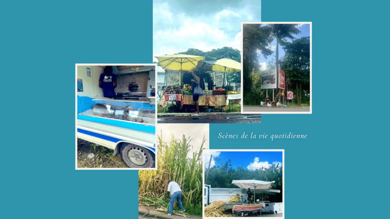 Guadeloupe : 5 scènes de la vie quotidienne partagées sur X