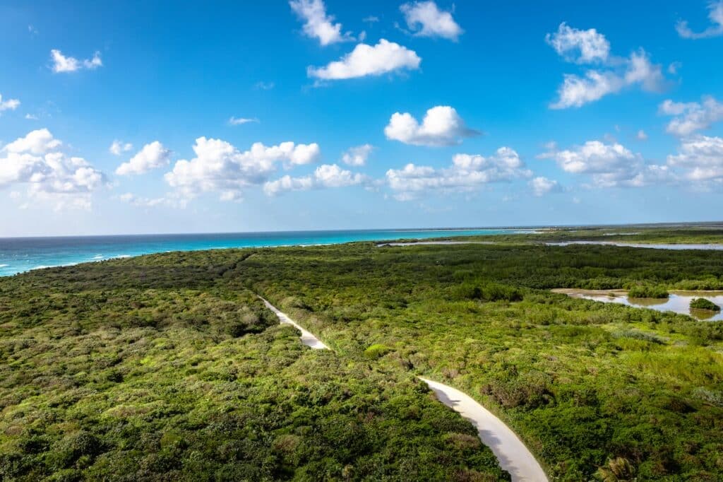 Cette île que j’aimerais visiter : Cozumel, joyau mexicain entre ciel et mer
