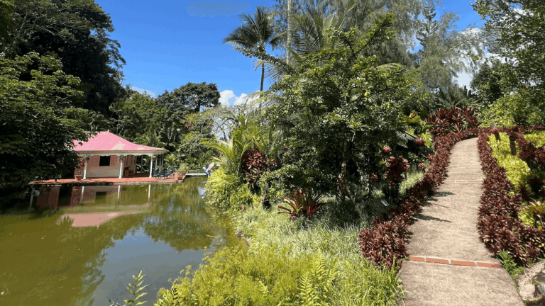 Lieu de rêve en Guadeloupe : le magnifique Jardin de Valombreuse