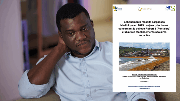 Sargasses en Martinique : un rapport d’experts alerte sur une crise sanitaire majeure