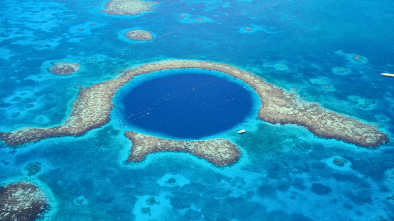 Grande Caraïbe insolite : une barrière de corail géante au Belize