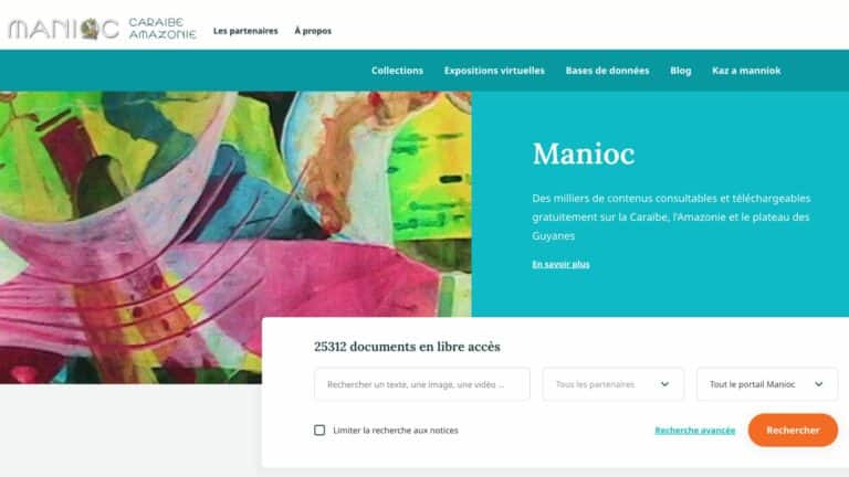 Pourquoi je recommande la plateforme Manioc