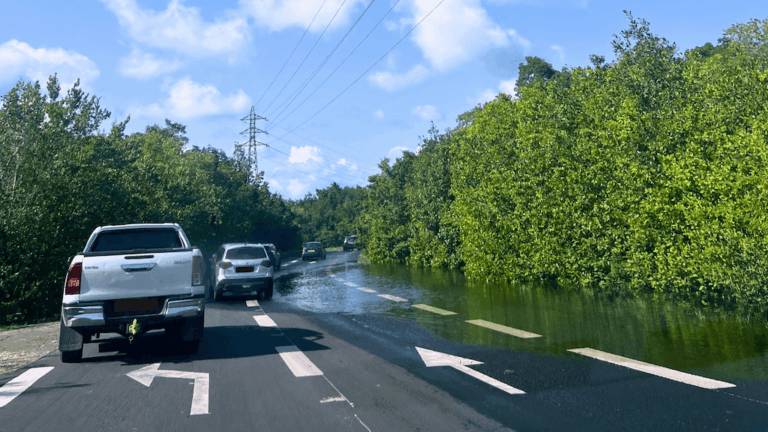 La Guadeloupe, un archipel vraiment accro à la voiture